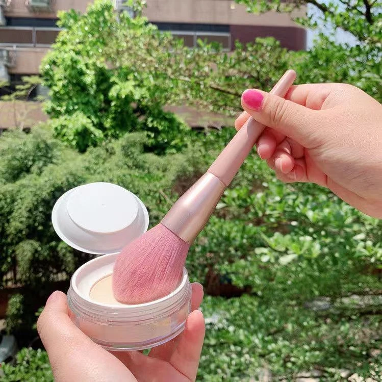 powder brush